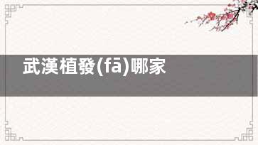 武漢植發(fā)哪家比較好？盤點(diǎn)武漢大麥微針、碧蓮盛、新生植發(fā)的特色項(xiàng)目與優(yōu)勢